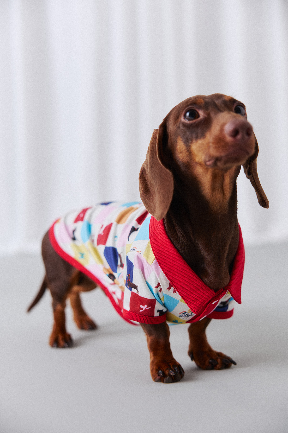 Pawsitive Vibe Dog Polo Shirt by GENTLEWOMAN