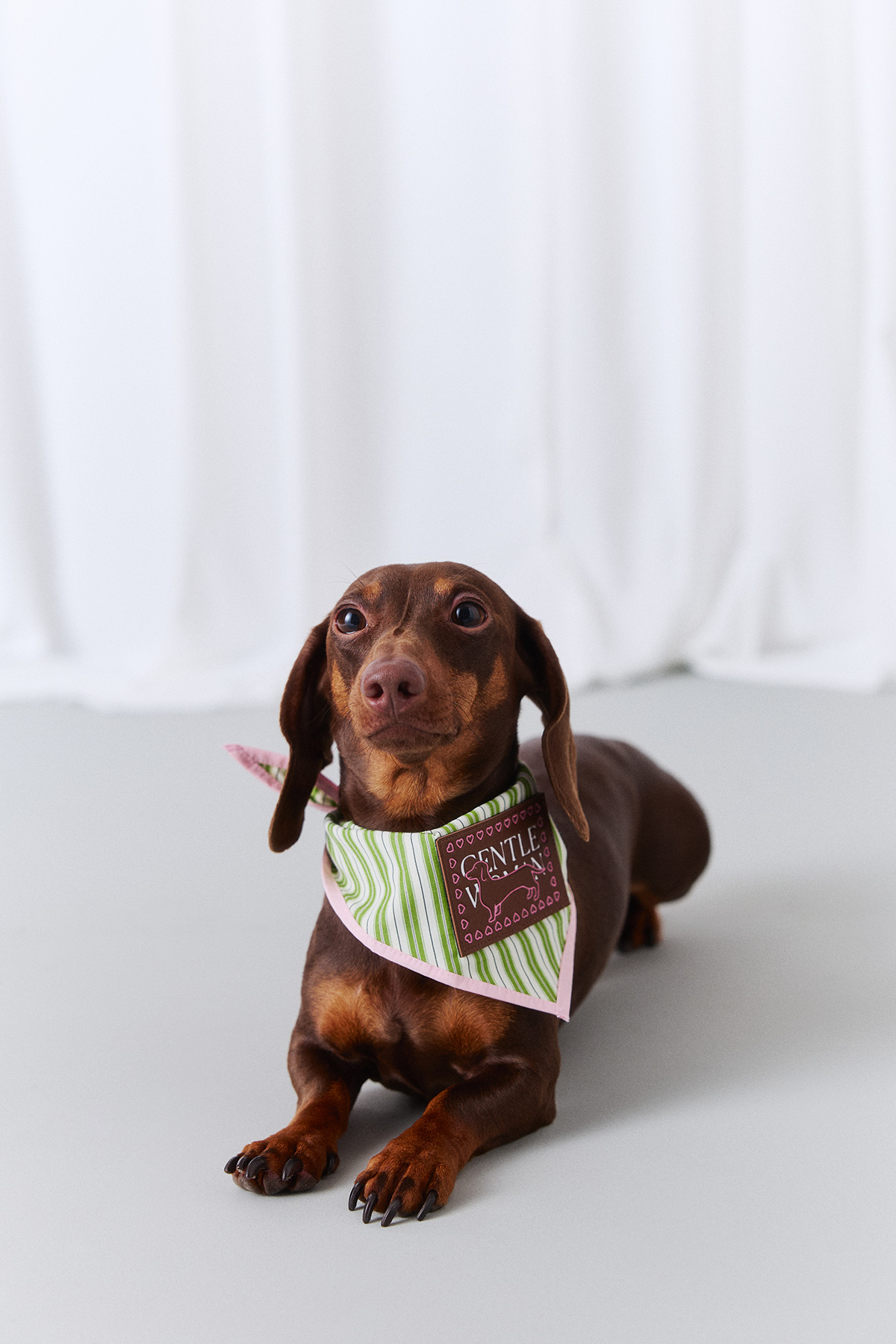 Croquet Stripe Pet Bandana by GENTLEWOMAN