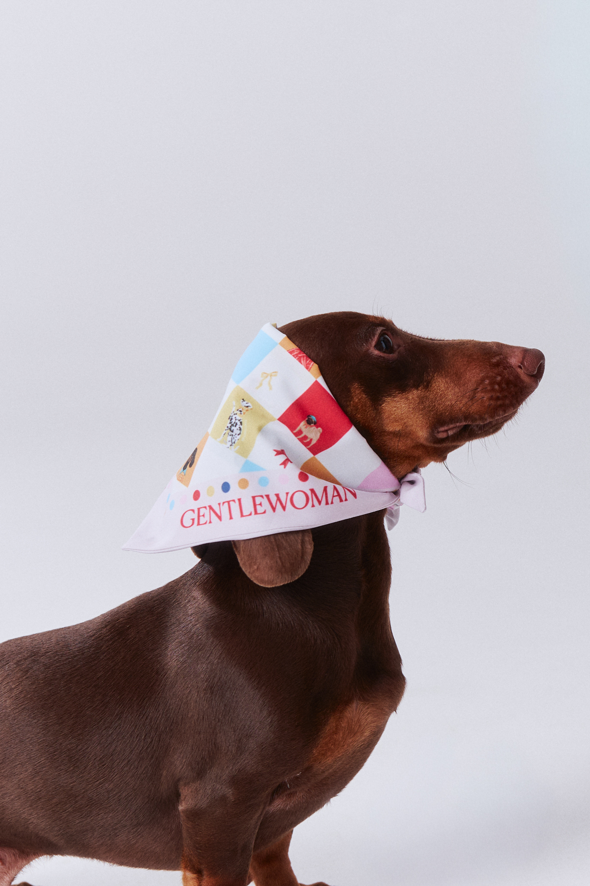 Pawsitive Vibe Pet Bandana by GENTLEWOMAN