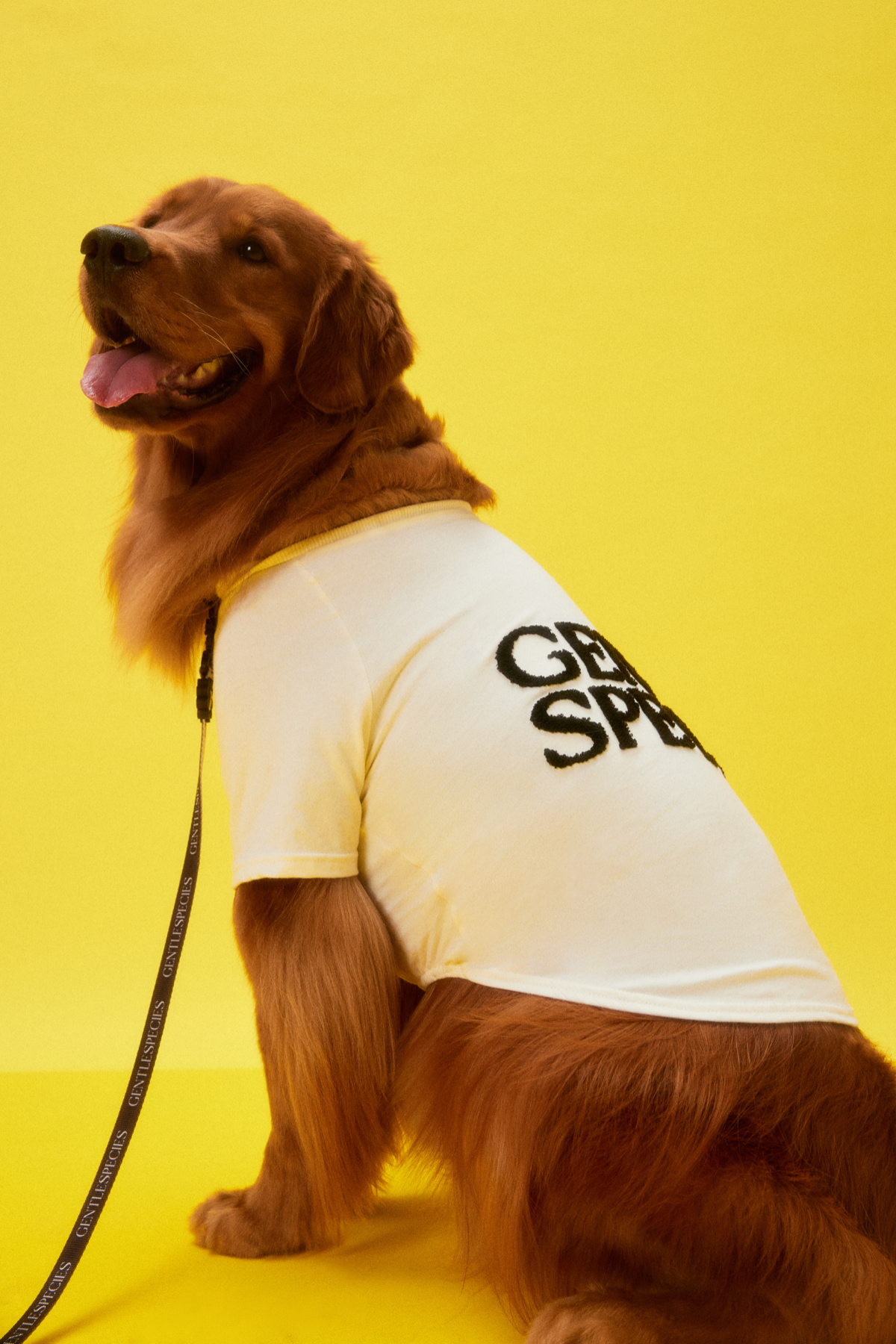 Large Gentle Species Fluffy T-Shirt by GENTLEWOMAN