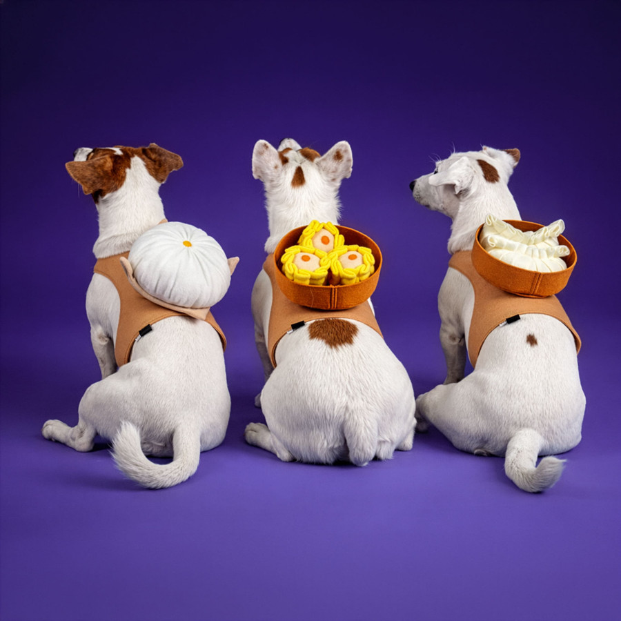 Dimsum Collection Dog Costume by Clawset