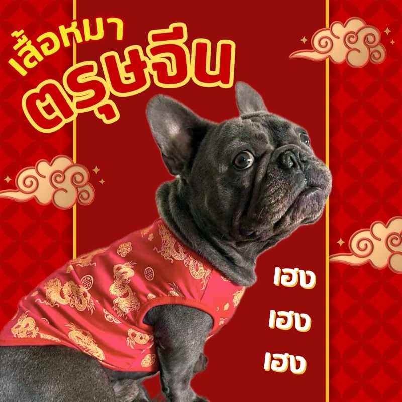 Big Dog Clothings