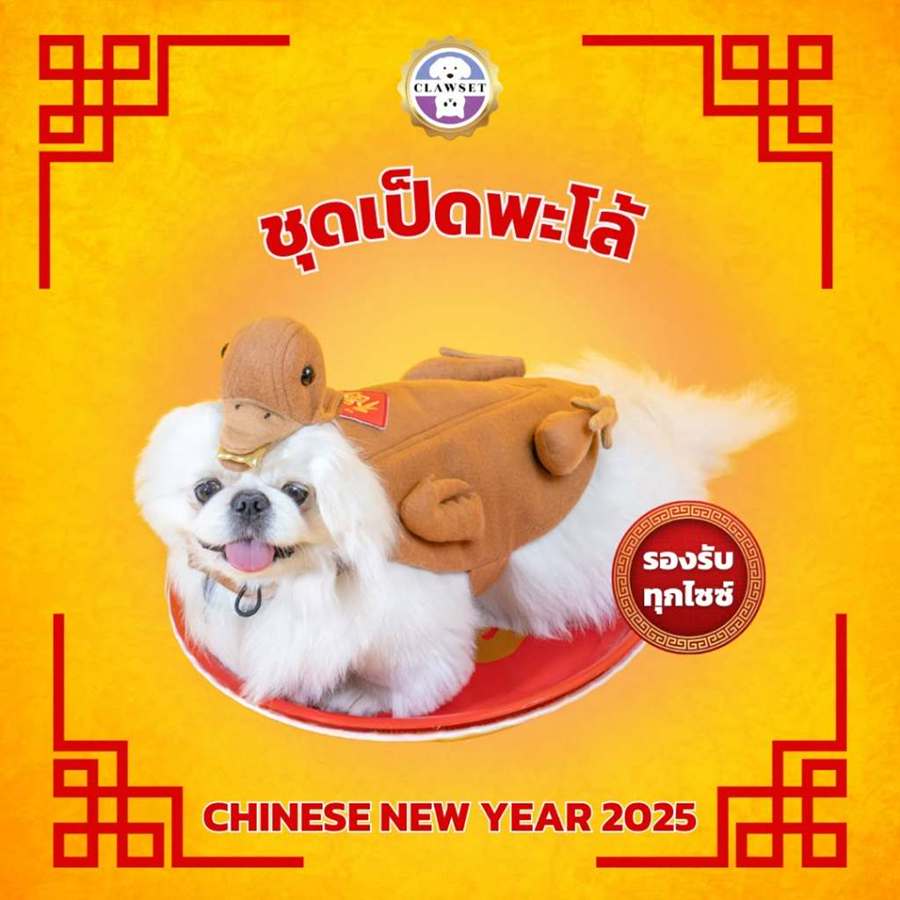 Chinese New Year Dog Pa-Lo Duck Costume by Clawset