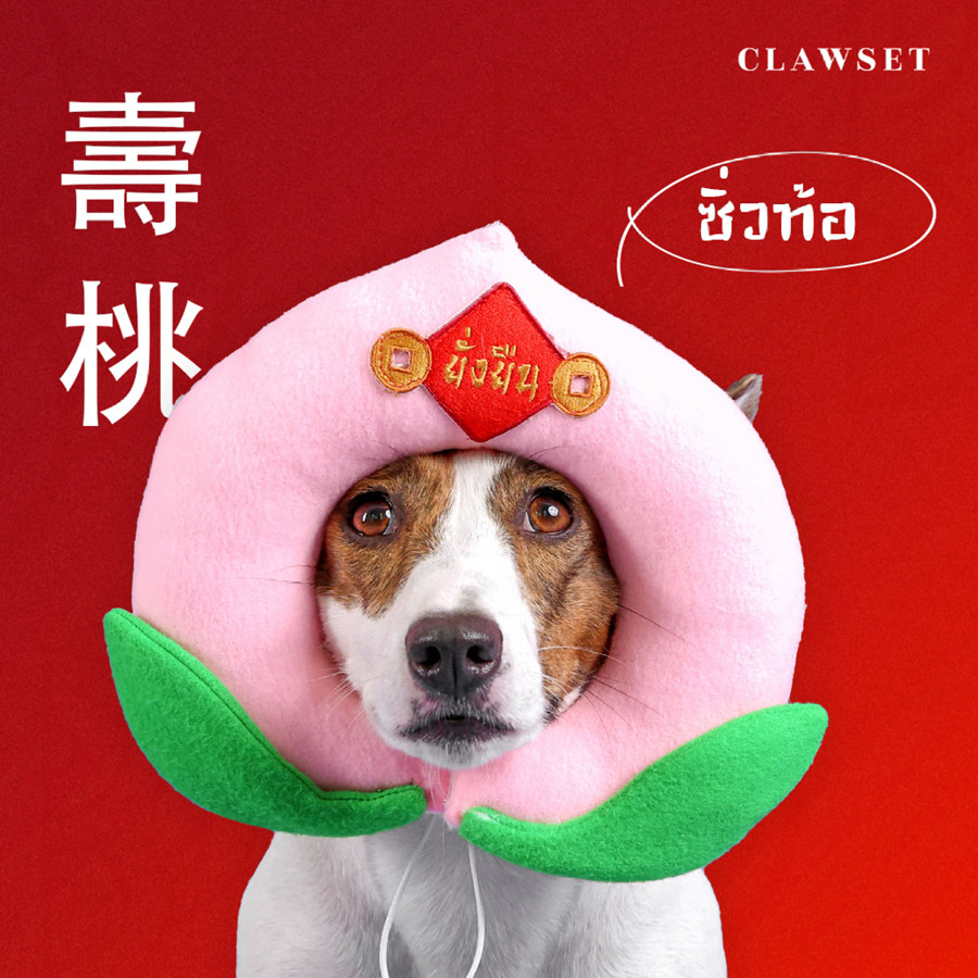 Chinese New Year Peach Dog Costume by Clawset