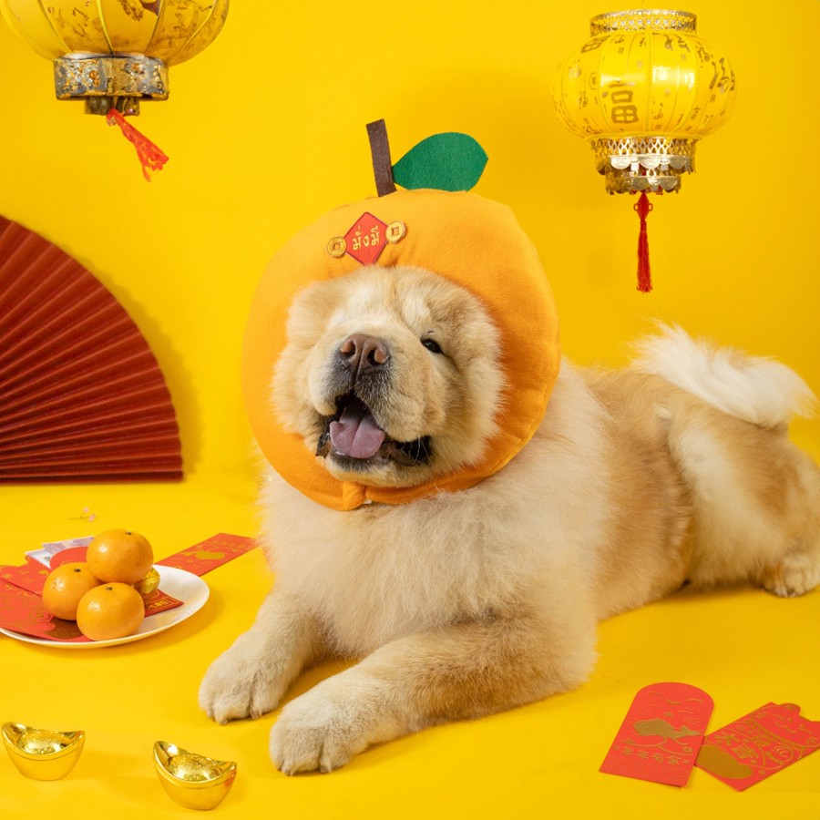 Chinese New Year Orange Dog Costume by Clawset