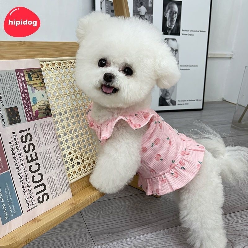 Peach Cat & Dog Dress by igorfinds