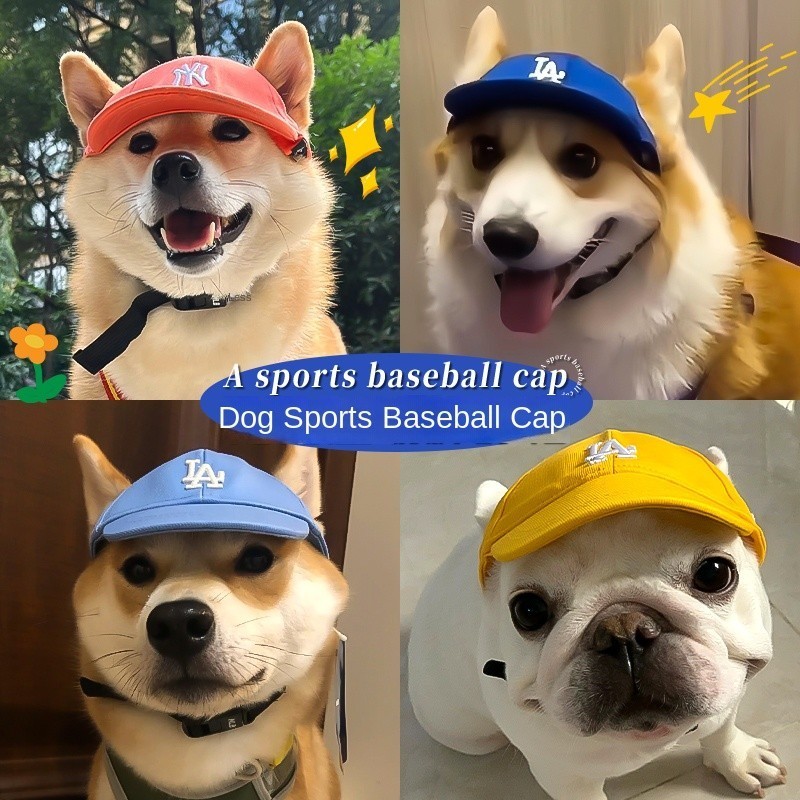 Baseball Cap Cat & Dog Hat by igorfinds