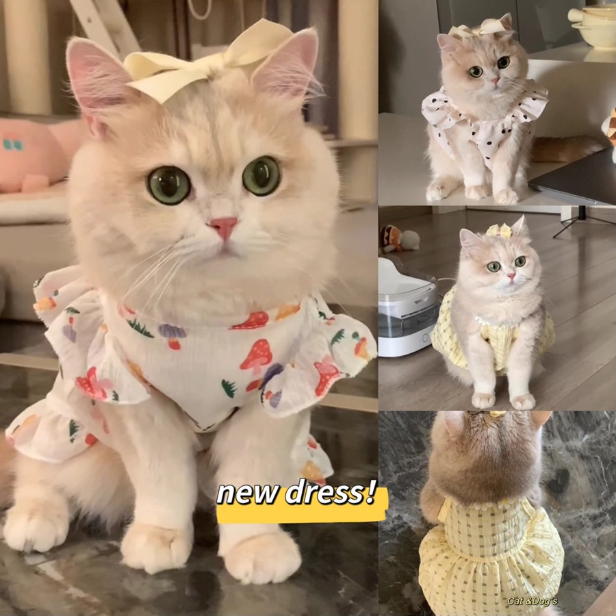 Flower Cat & Dog Dress by igorfinds