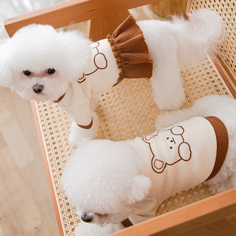 Matching Bear for Cats & Dogs by igorfinds