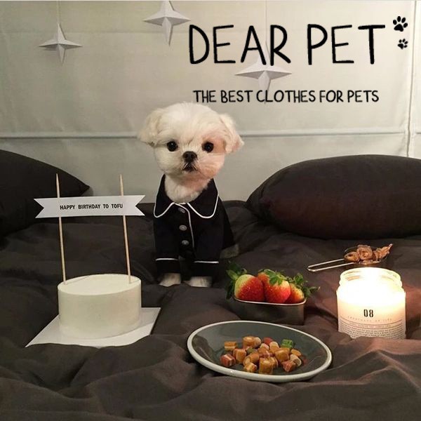 French Cat & Dog Pajamas by igorfinds